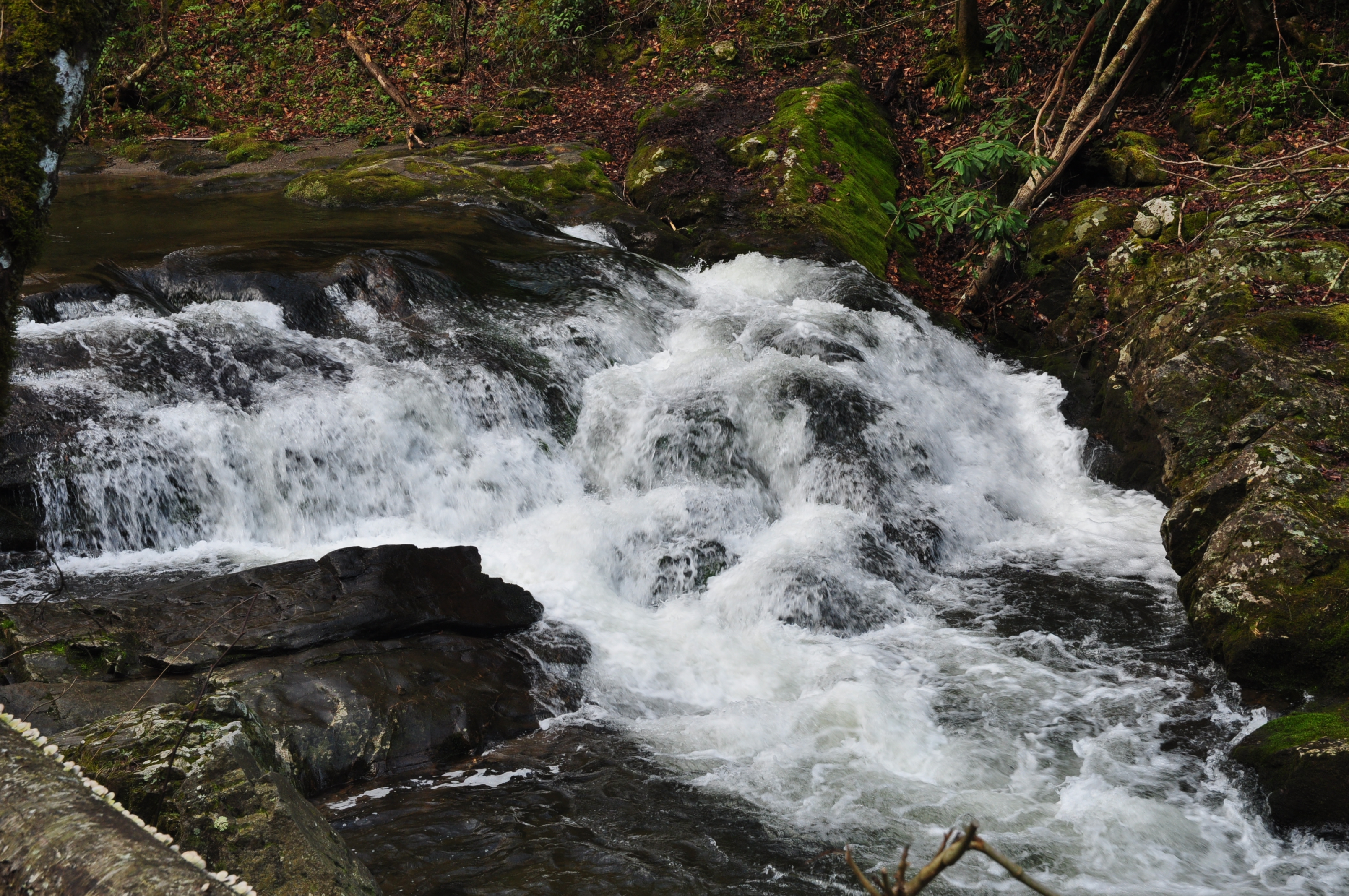 Cades Cove